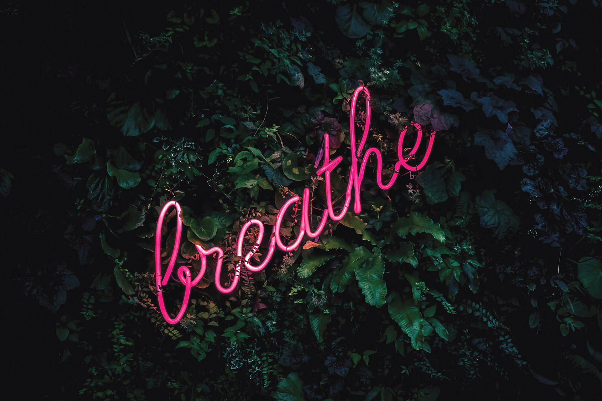 Stunning Text Effects Work